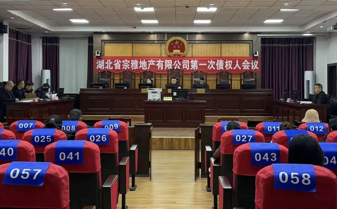 湖北省宗雅地产有限公司破产清算案第一次债权人会议顺利召开